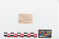 Etikett zu Perlenkette (NHMW-PRAE-024318)